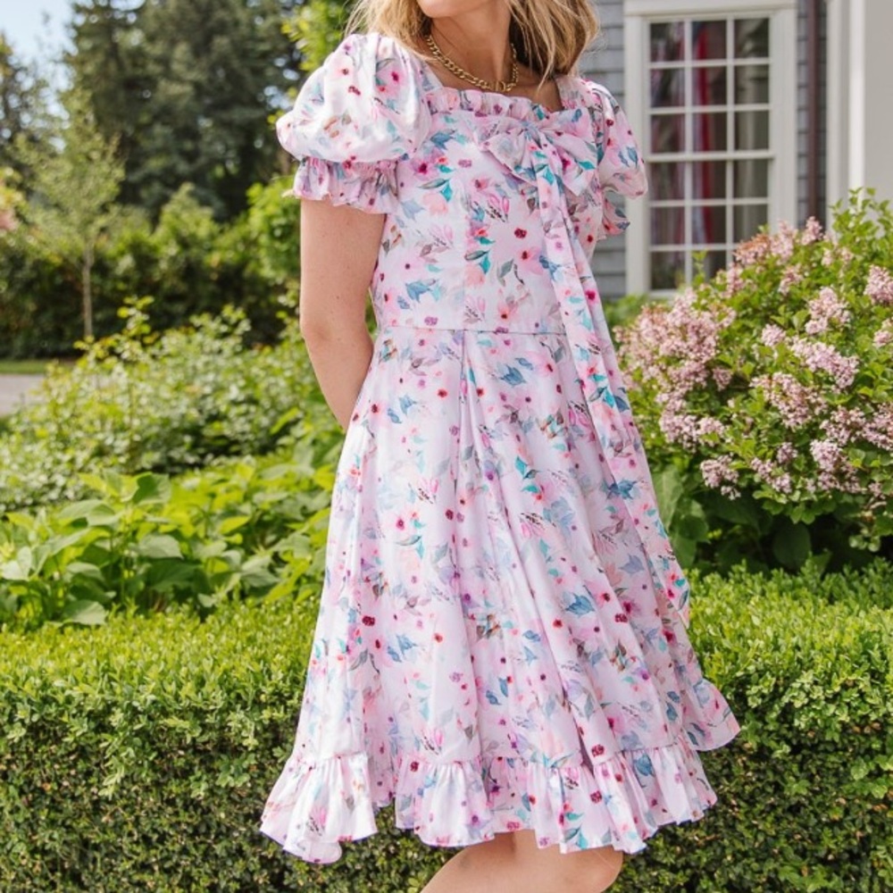 NWT Ivy City Co Blush and Navy Floral Dress